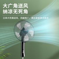 美菱落地扇MPF-DZ4541(黑色遥控)-D-SD