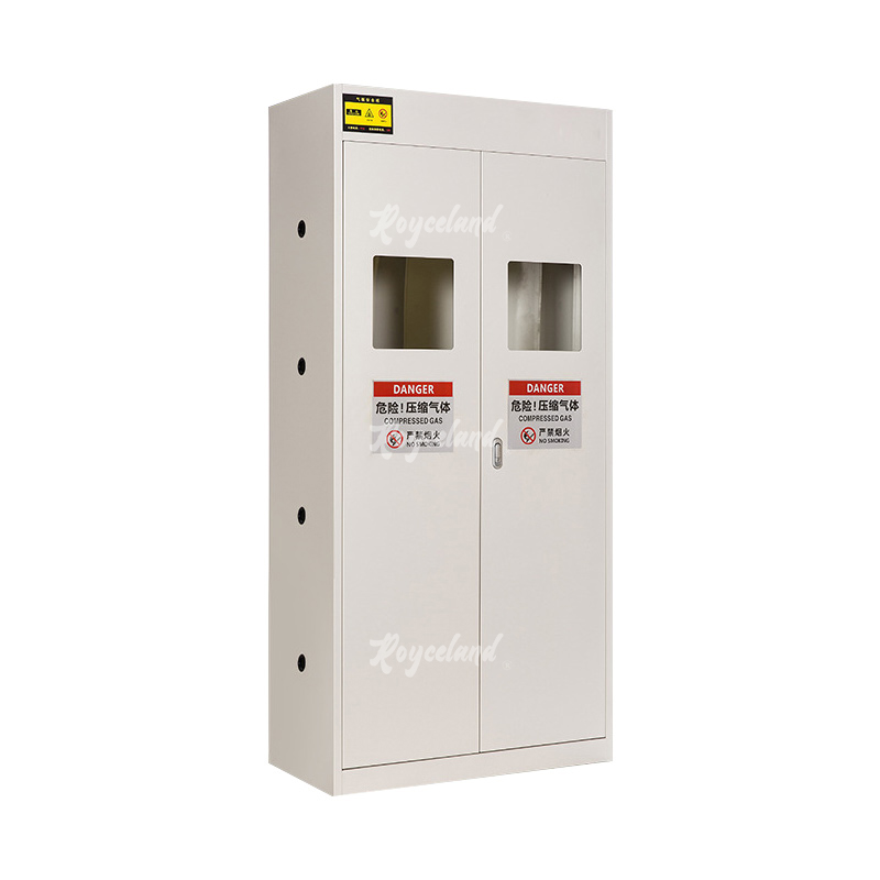 洛诗莲 LSL4041361气瓶柜全钢气体防爆柜气罐储存柜 白色双瓶不报警