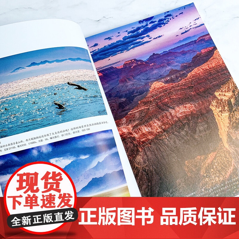 与光影共舞 摄影家教你拍出与众不同的好照片 第2版 林铭述 著 摄影技法高清大图