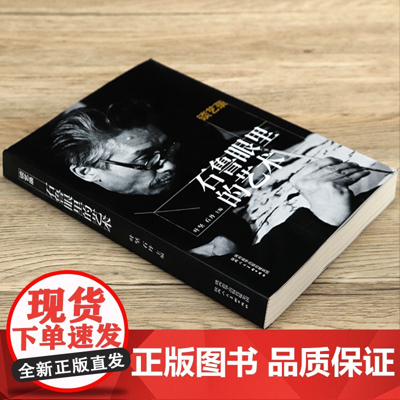 [8成新]谈艺录 石鲁眼里的艺术文章札记杂文诗词艺术创作谈话发言名家画论中国绘画发展史书籍 陕西人民美术出版社高清大图