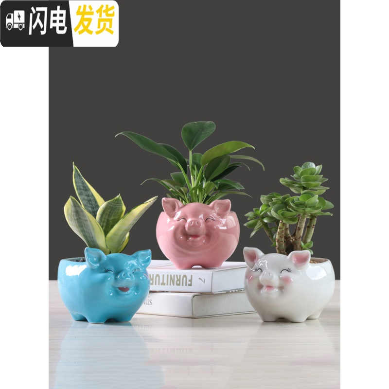 三维工匠简约卡通多肉花盆陶瓷创意个性可爱小猪客厅植物白色花盆绿萝花器 有孔土养手绘蓝色小猪花盆 中等花盆容器