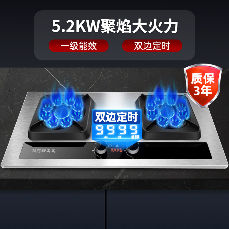 欢呼好太太燃气灶双灶 5.2KW大火力九腔猛火 定时煤气灶单灶具台式嵌入式双眼灶煤气炉 不锈钢天然气灶 A196-1