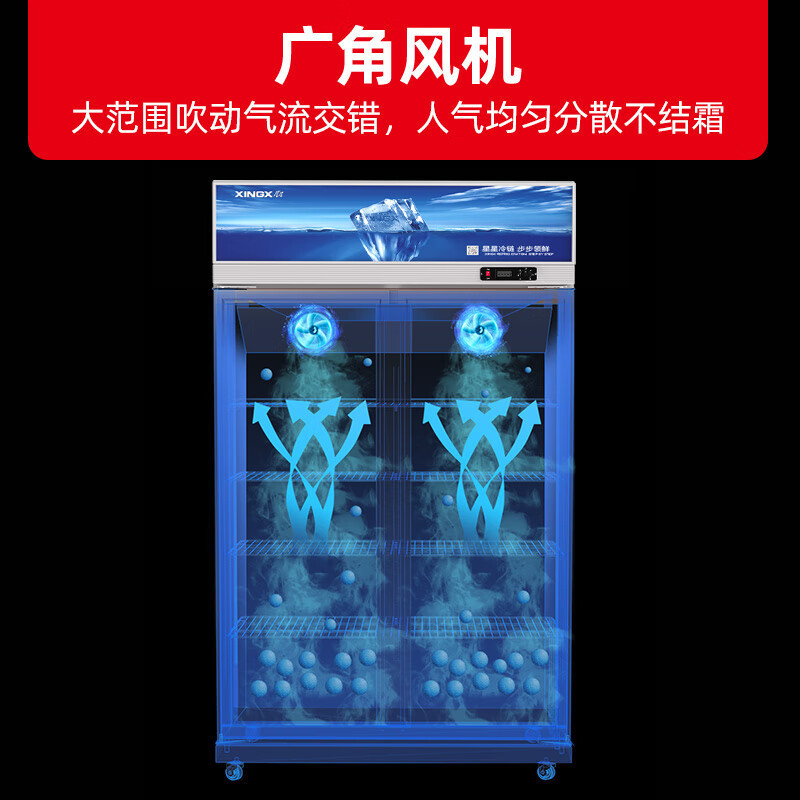 星星(XINGX) 518 升 LSC-518Y 双门冷藏展示柜 冷藏冰柜大容量 玻璃门立式饮料柜金色高清大图