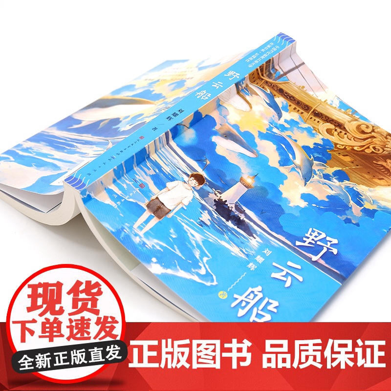 野云船/中国当代获奖儿童文学作家书系 刘耀辉著 儿童成长亲情故事心灵启蒙文学小说 三四五六年级小学生课外阅读书籍暑假读物高清大图