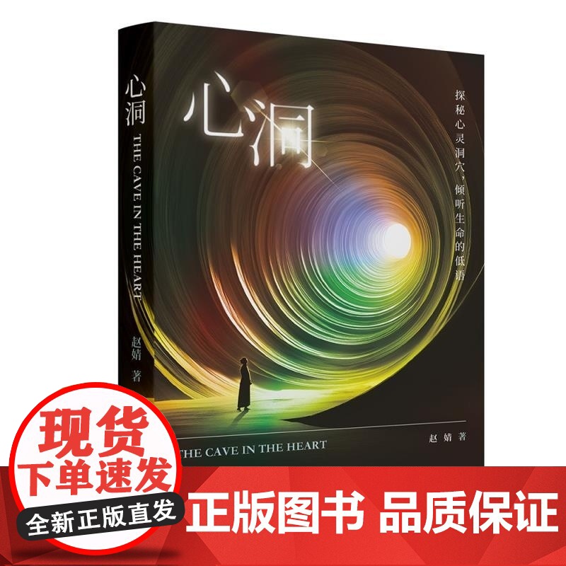 [正版新书]心洞 赵婧 清华大学出版社 心理学 心理咨询 疗愈 励志高清大图