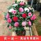 茶花盆栽绿植室内外花卉易养活四季开花五色赤丹树苗耐寒浓香妃型 埃及艳后 2年苗一颗试种[不包活 无]