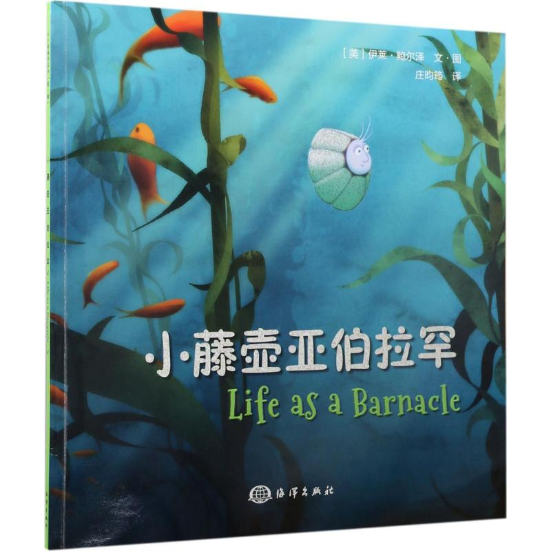 音像小藤壶亚伯拉罕(美)伊莱·鲍尔泽(Eli Balser) 文图;庄昀筠 译