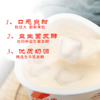 伊利 大果粒酸奶风味发酵乳冰袋冷藏草莓+黄桃 黄桃+芒果 草莓+桑葚两两混合口味低温杯装酸牛奶1杯260g*6杯