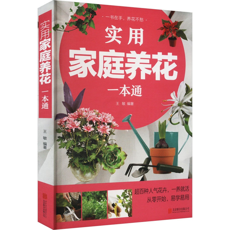 [醉染正版]实用家庭养花一本通 王敏 编 生活休闲 生活 京华出版社 美术高清大图