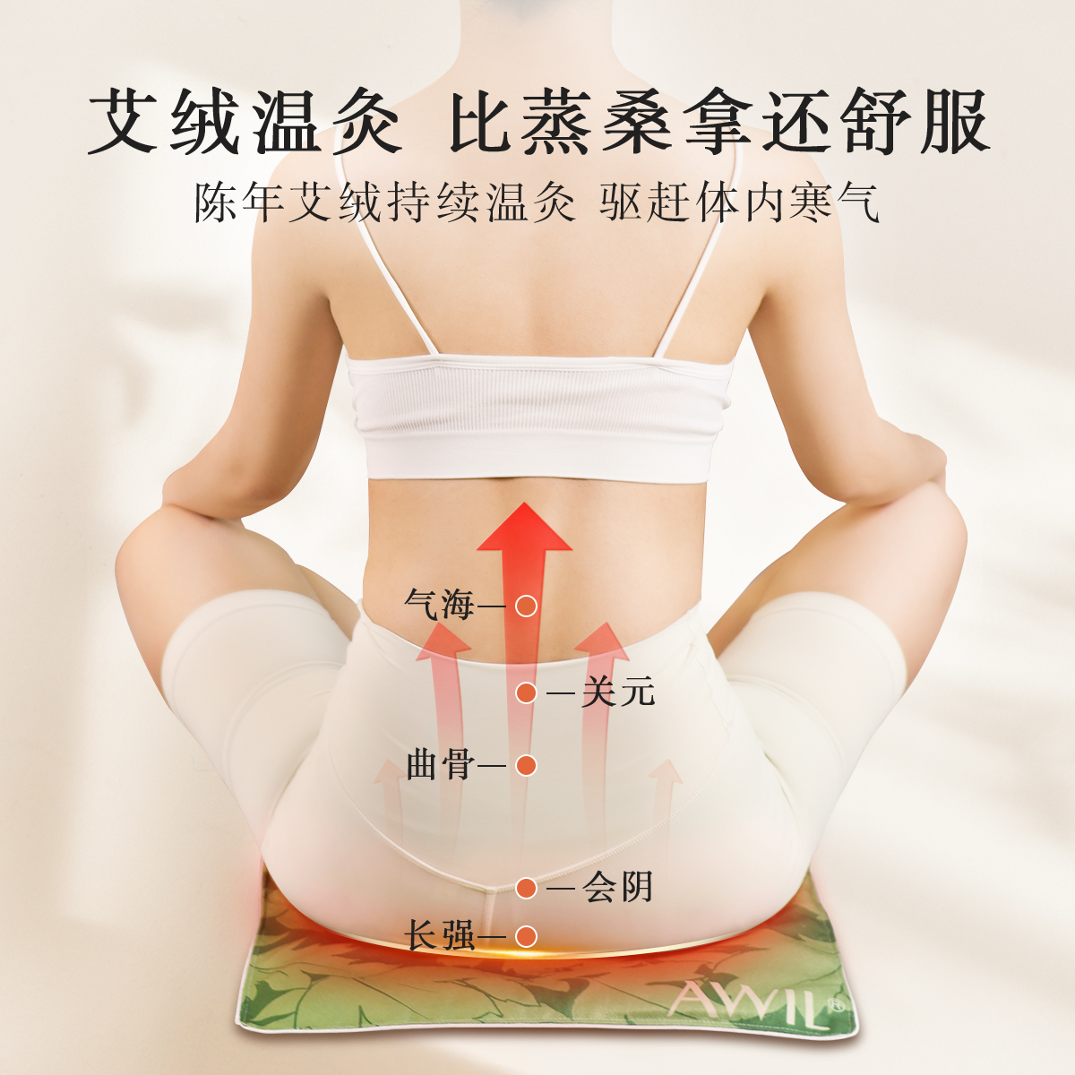艾修堂陈艾加热坐垫高清大图