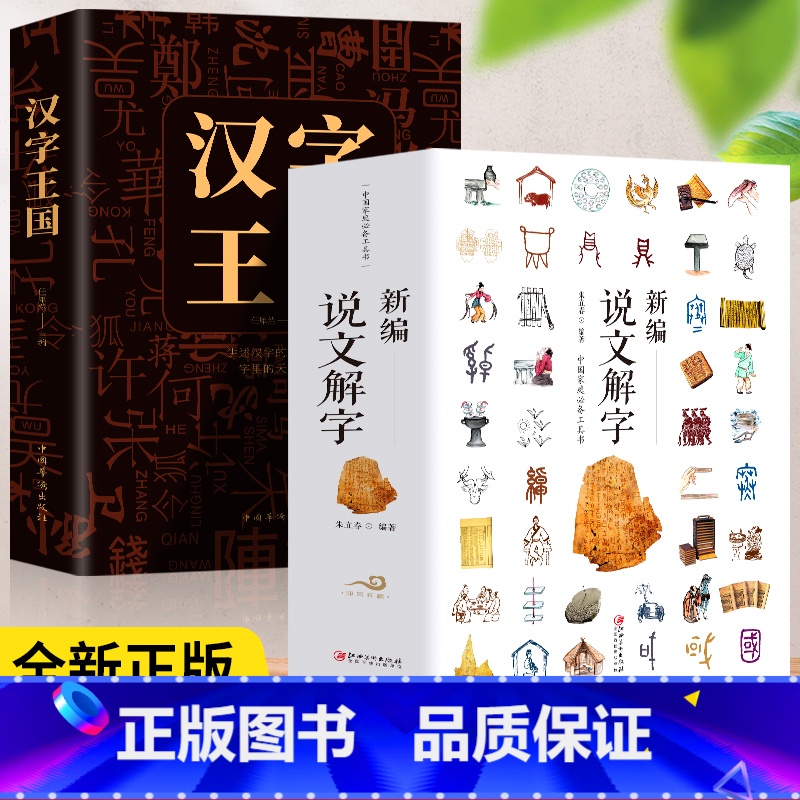 【正版】2册 新编说文解字+汉字王国 语言文字古代汉语字典国学经典古文字学研究通俗读物详解部首段玉裁注咬文嚼字细说汉字的