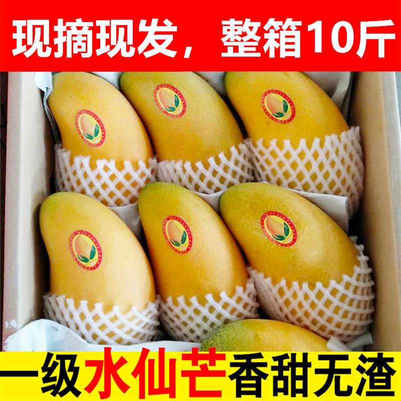 水仙青芒 报价行情 排行 品牌 参数 怎么样 图片 商家 苏宁易购