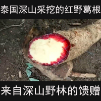 艳紫铆原片泰国保养红高颗原根 红葛根干片100g