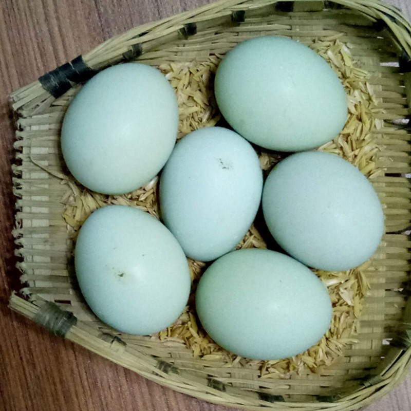 [中华特色]徐州馆 新鲜农家绿壳土鸡蛋10枚 乌鸡蛋草鸡蛋笨鸡蛋 非鹌鹑蛋鸭蛋鹅蛋高清大图