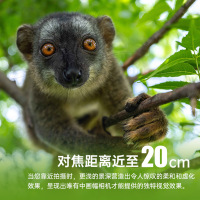 [富士官方旗舰店]Fujifilm富士中画幅相机GFX100RF单机身黑色 无反复古微单单反照相机 数码相机 GFX100RF新款超清