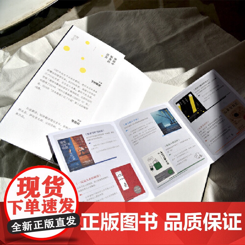 黑暗中飘香的谎言 下村敦史 湖南文艺出版社 正版书籍高清大图