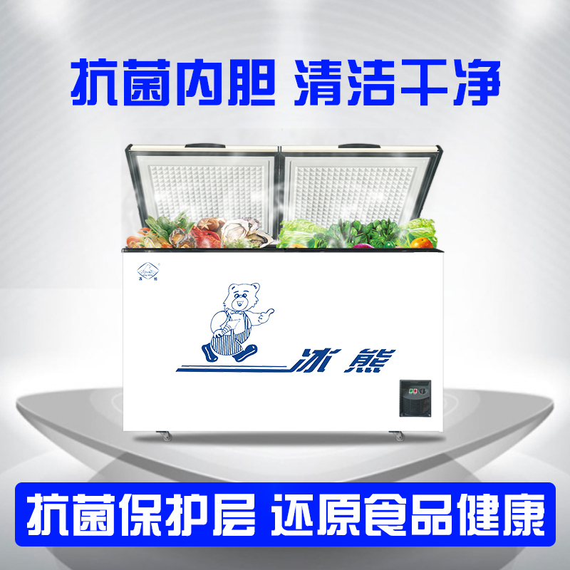 冰熊(bing xiong)BC/BD-758升商用大冰柜 卧式大冰库冷柜 冷藏冷冻转换展示柜 卧式双门顶开冰柜