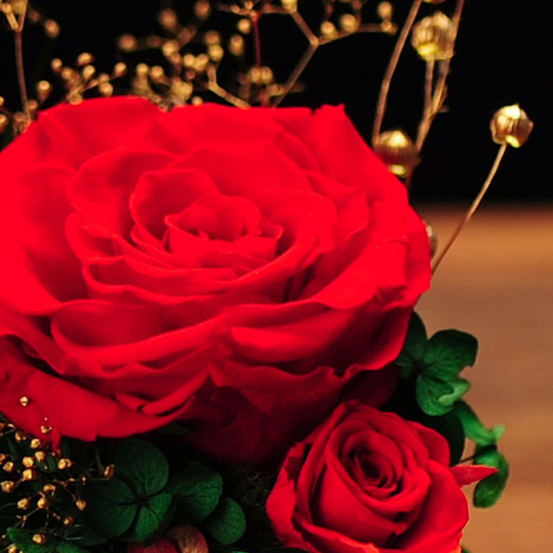 苏宁精品 圣诞节礼物生日礼物女送女朋友生日礼物送闺蜜结婚纪念日礼物永生花 玻璃罩礼盒玫瑰情人节送女友永生玫瑰创意礼品报价 参数 图片 视频 怎么样 问答 苏宁易购