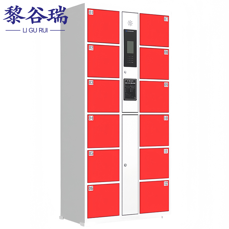 黎谷瑞智能寄存柜 智能寄存柜12门人脸识别台