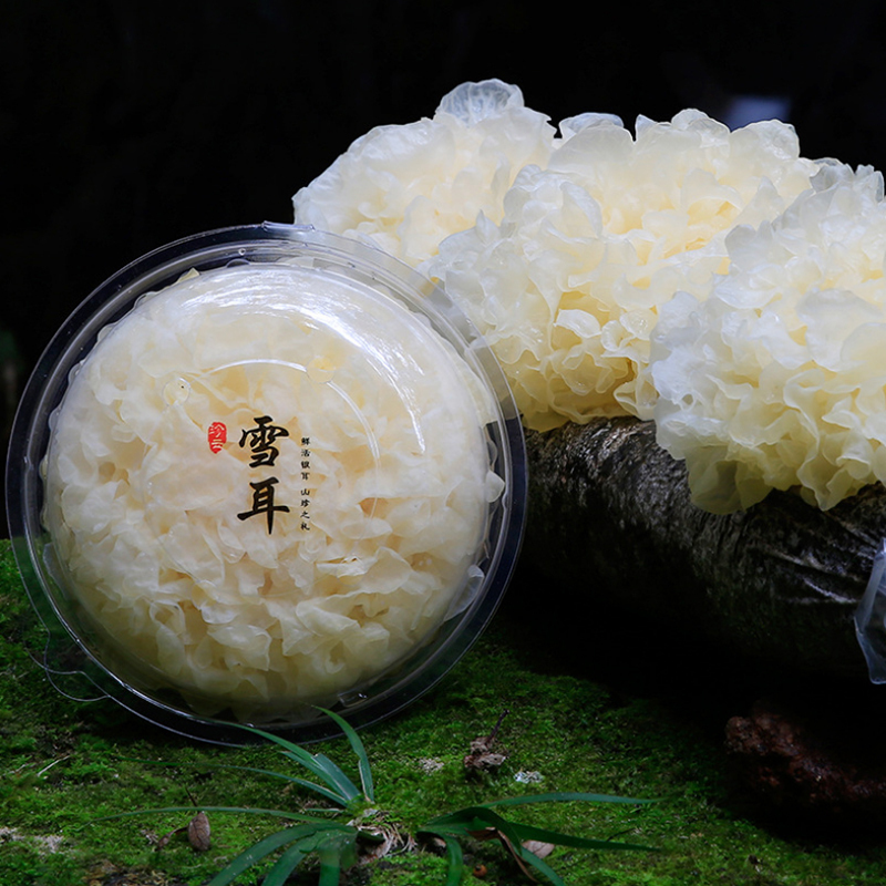 晋唐福建古田新鲜白银耳6朵(约120g/朵)活鲜雪耳新鲜菌菇蔬菜 单位:箱