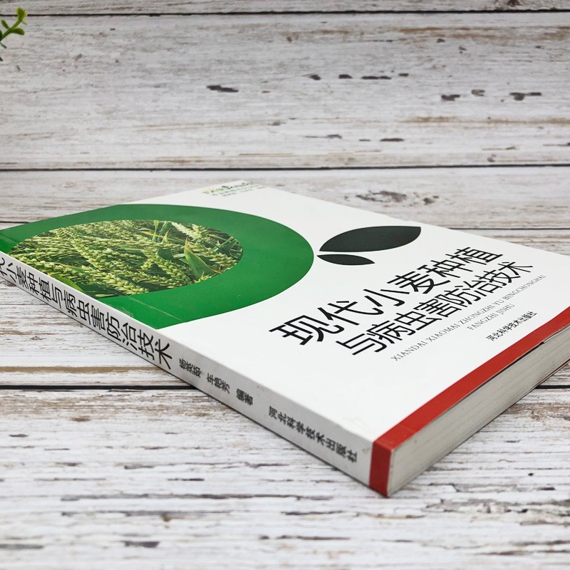 [正版]现代小麦种植与病虫害防治技术农业种植标准化生产优质品质选择播种管理施肥与创新技术冬小麦安全储存技术病虫害防治方法高清大图