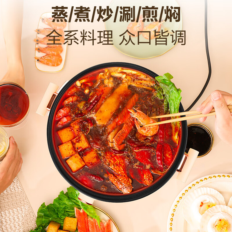 荣事达不粘电火锅旋钮火力温控RHG50WQ(RHG05F)高清大图