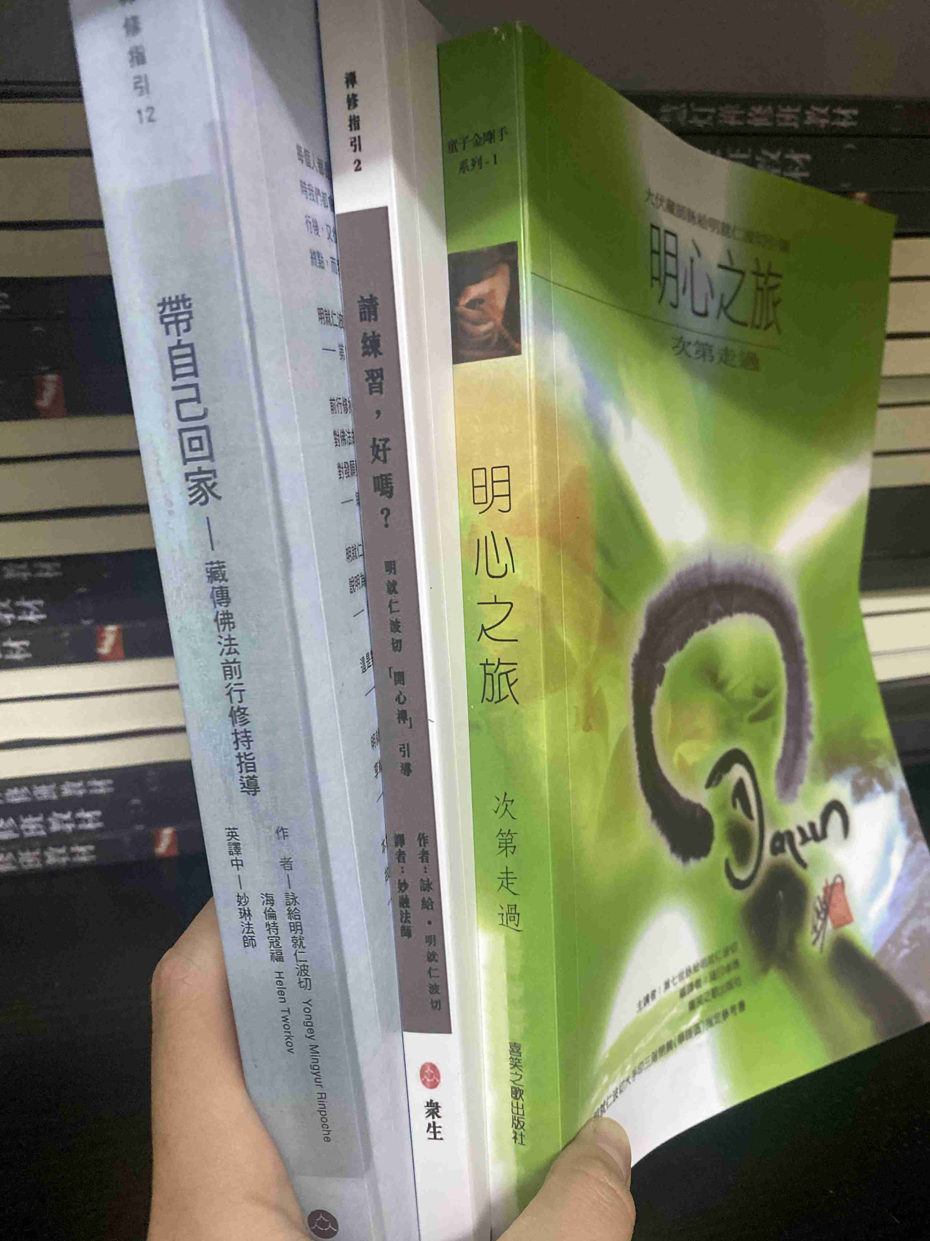 《 带自己回来+明心之旅+请练习,好吗!共3本》 【《寂静的智慧》 李尔纳全文集4本合售】【《实修的秘密 上下册》 2本