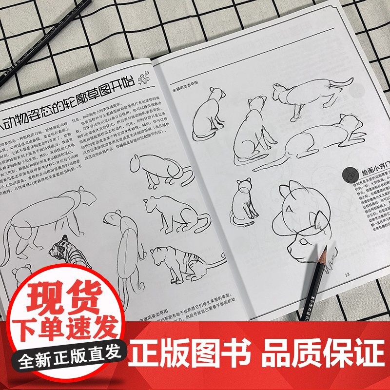 动物素描版 动物素描速写手绘绘画步骤示范技法教学动物素描素材临摹 描初学基础入门怎么样画动物素描教程教材西方经典技法高清大图
