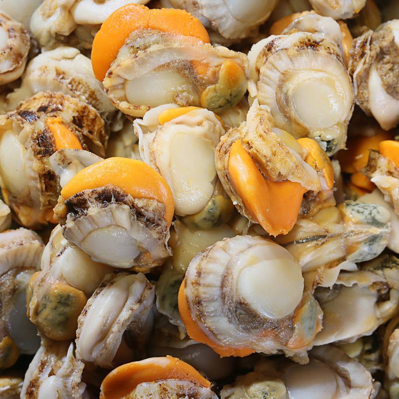 扇贝肉冷冻海鲜水产鲜活扇贝现剥速冻新鲜贝类蛤蜊肉整箱500g