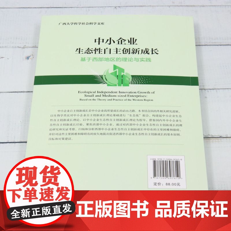 中小企业生态性自主创新成长:基于西部地区的理论与实践高清大图