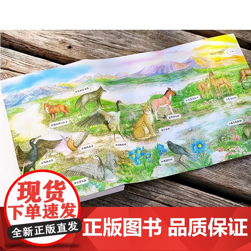 2023广东省暑假读一本好书三江源的扎西德勒藏地少年杨志军成长励志故事书中小学生课外阅读6-9-12岁青少年文学读物三四高清大图