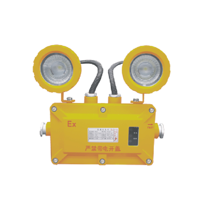 简工智能 JG-ZFZD-E6W GJ 2×3W IP65 220V LED光源 5500K 应急照明灯(单位:盏)黄色