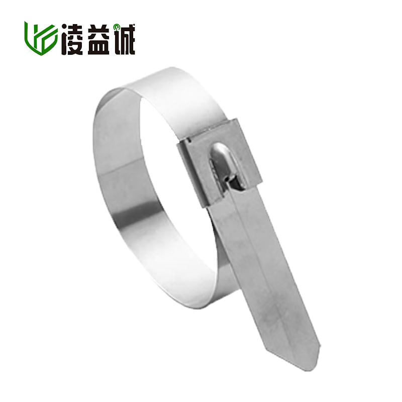 凌益诚 不锈钢扎带 4.6*350mm 100支 包