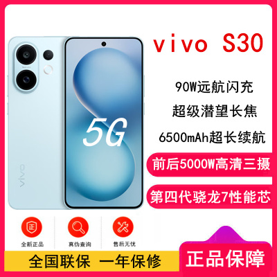 vivo S30 薄荷青 12GB+256GB