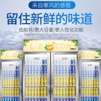 寒箭 展示柜冷藏商用冷柜饮料柜商用冰箱大小超市冰箱啤酒柜冷藏柜立式水果保鲜柜双门直冷下机组
