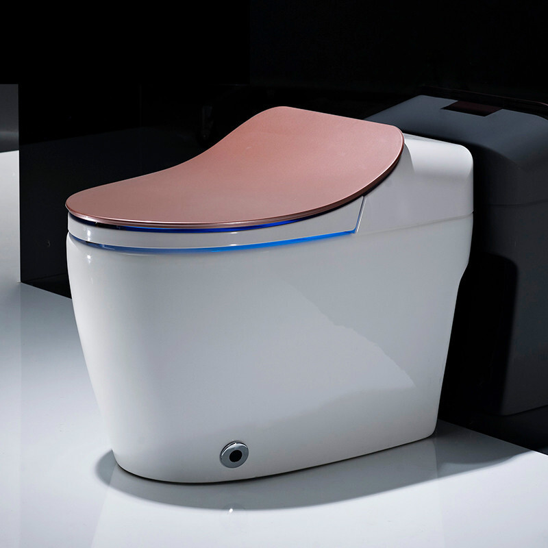 新款德国即热马桶一体式全自动感应坐便器电动家用烘干波迷娜bomina