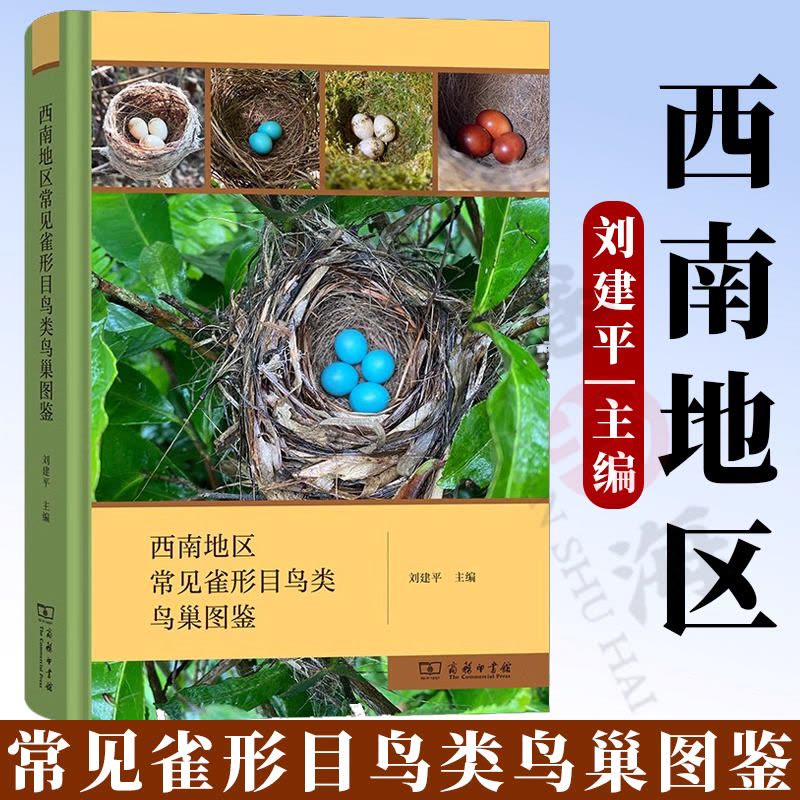 西南地区常见雀形目鸟类鸟巢图鉴 自然观察的实用指南图片