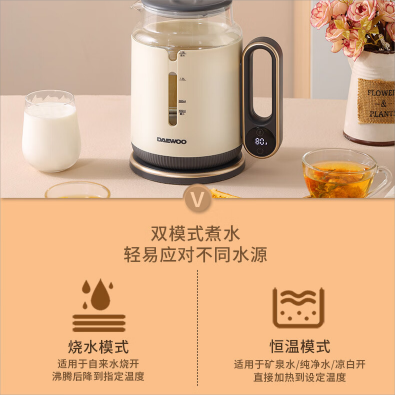大宇(DAYUFOOD) 电热水壶 DYSH-15F26高清大图