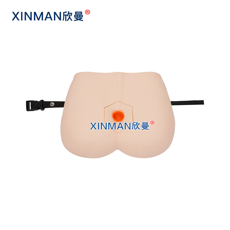欣曼科教 阶段褥疮护理模型 压疮护理仿真模型XM-H91高清大图