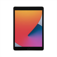 2020年新款 苹果 Apple iPad 第八代 10.2英寸平板电脑 32G WLAN版 深空灰色 平板电脑（Retina显示屏/A12仿生芯片MYL92CH/A）