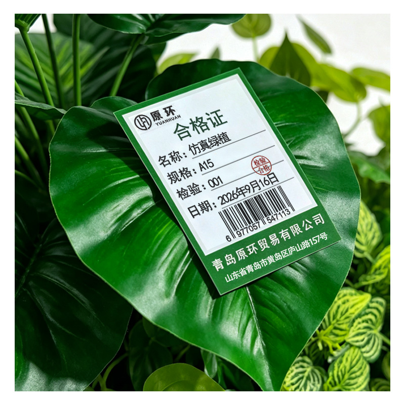 原环 仿真绿植 个 A15
