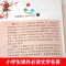 森林报 [正版]封神演义 无障碍阅读 原著 小学生版四五六年级必读课外阅读书籍 白话文青少年读物封神榜姜子牙儿童版中国古