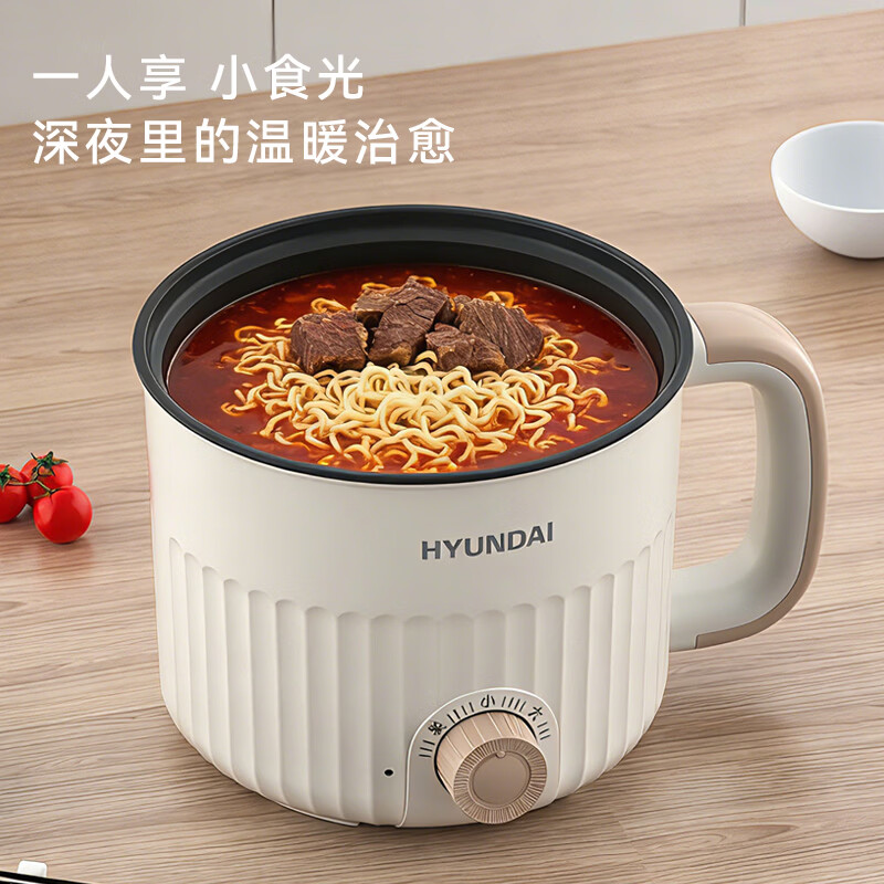 HYUNDAI 液体加热器(电煮锅)ZNXG-06高清大图
