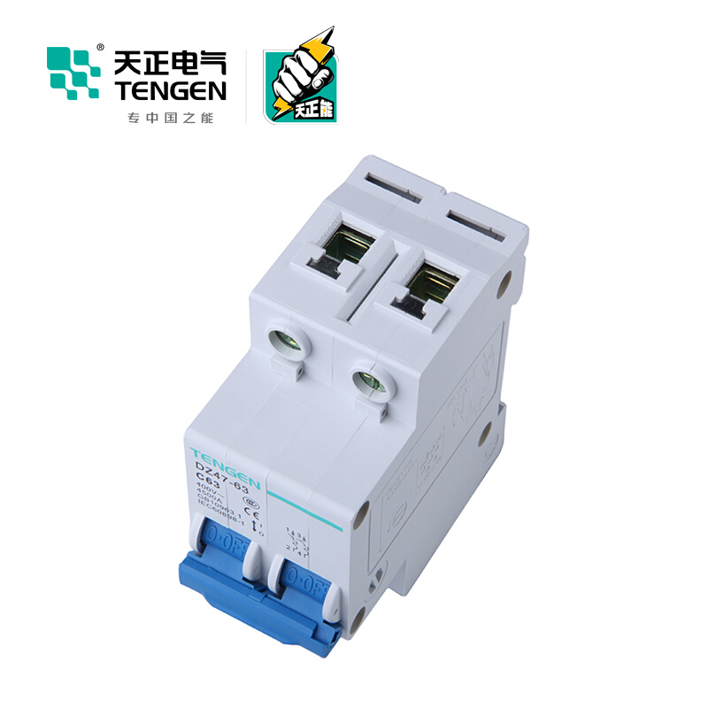 天正电气 空气开关 DZ47-63 2P C 63A 4.5KA 01060020274 微型断路器