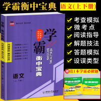 衡水重点中学内部资料学霸衡中宝典语文上下册高一二三语文知识手册高中语文大全复习教辅资料书高考总复习资料语文知识大全工具书
