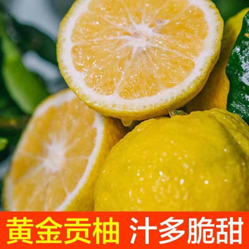 【拍2份9折】湖南怀化洪江金贡柚5斤整箱丑八怪当季孕妇新鲜水果春香桔柚超甜小柚子图片
