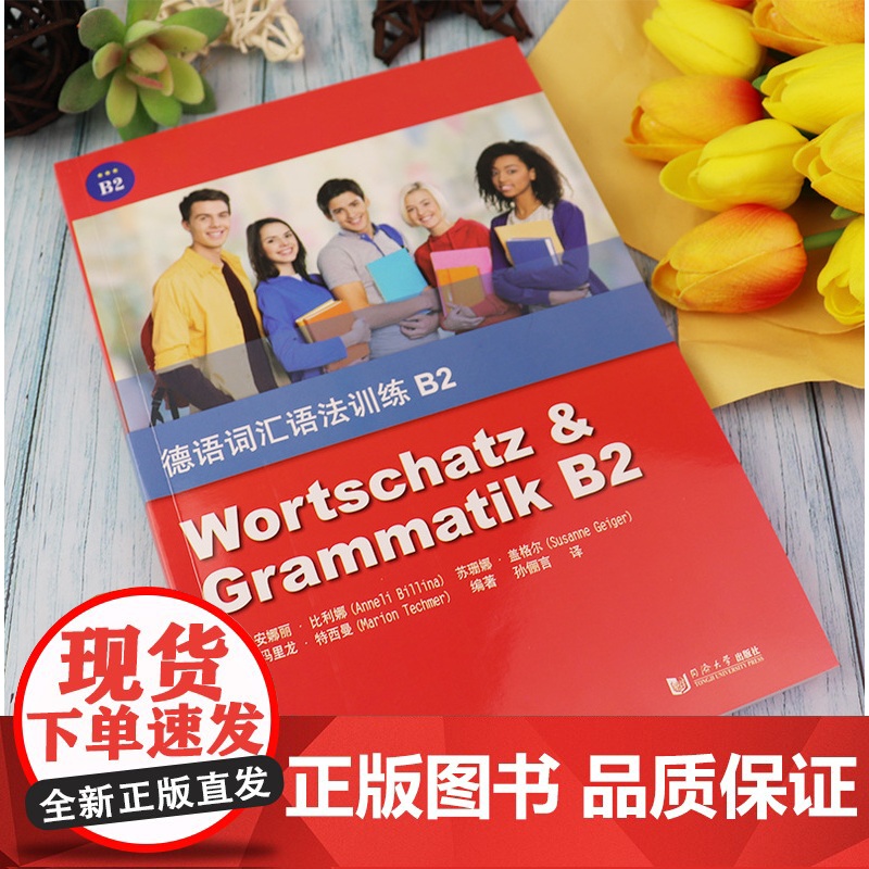 德语词汇语法训练B2安娜丽.比利娜编著 欧标德语B2考试备考 德语语法解析与练习德语欧标考试书籍德语自学入门教材 同济大高清大图