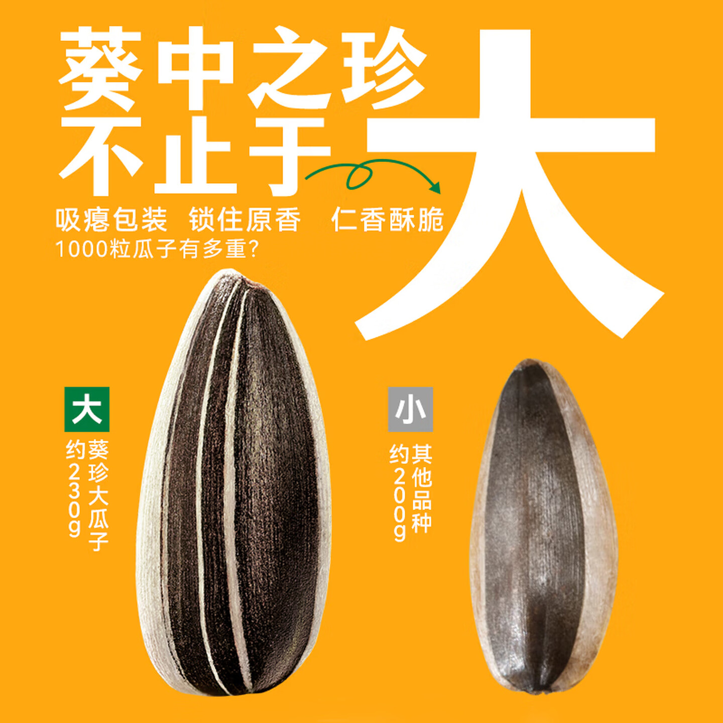 洽洽 葵珍 单罐黑金罐八分熟188g(罐)*5办公室零食炒货休闲小吃高清大图