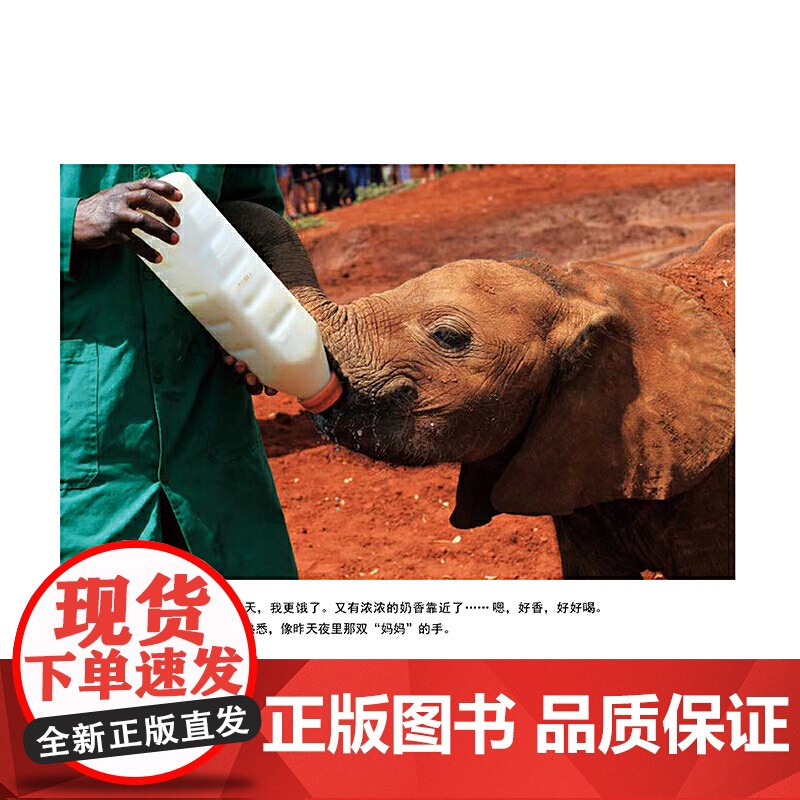 桑布鲁,我回来了高清大图