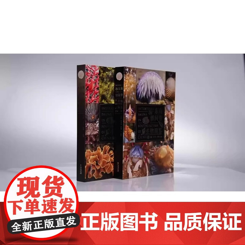 正版 东南潮间带生物图鉴 海峡书局 海洋生物赶海手册 赶海指南海洋生物图鉴海洋生态环境中国螃蟹 科普百科水生动物图谱